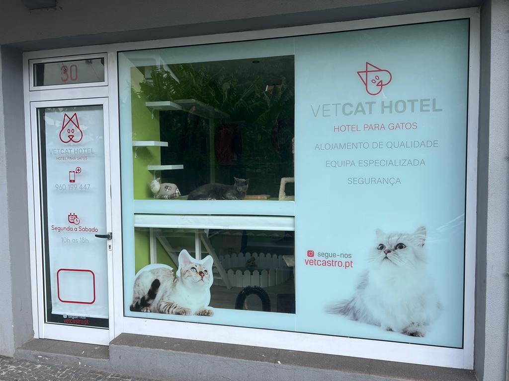 HOTEL PARA GATOS