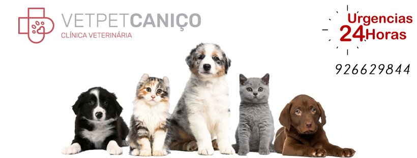 VetPetCaniço