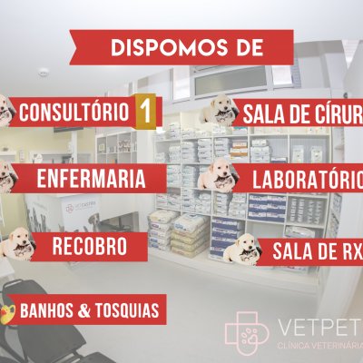 VetPetCaniço_Serviços