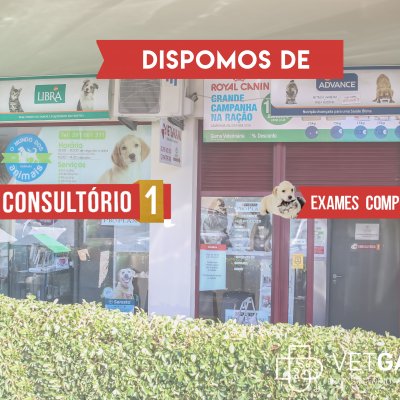 VetGarajau_Serviços