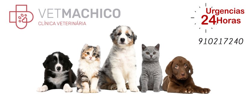 VetMachico