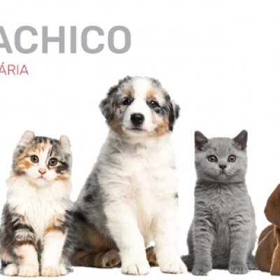 VetMachico_Janeiro