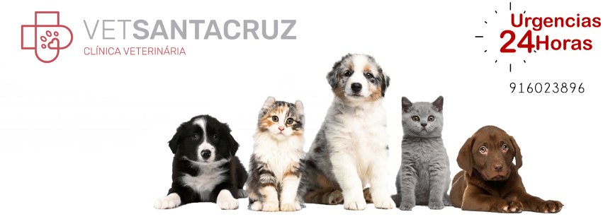 VetSantaCruz