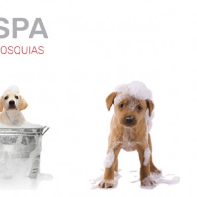 VetSpa_Janeiro